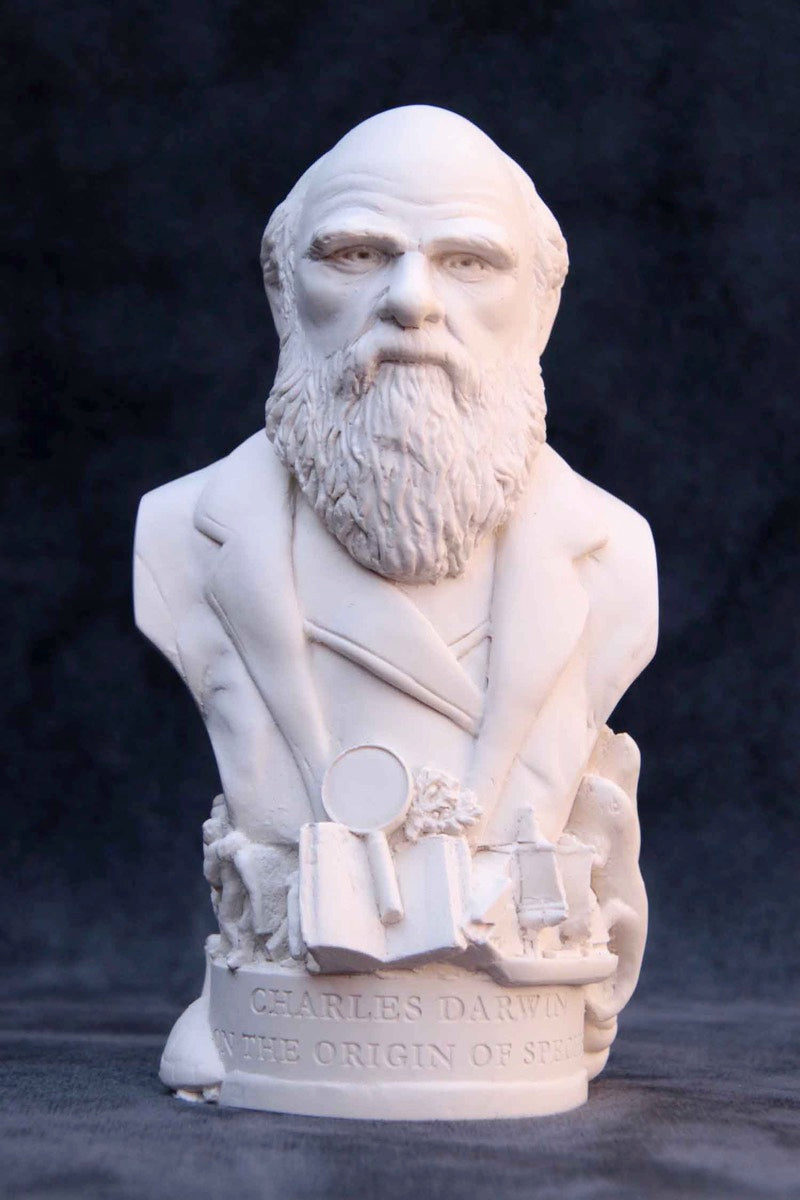 Gade ø selv Bust of Charles Darwin – Empire Medals