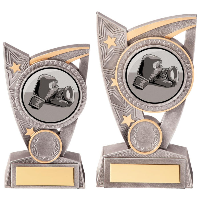Triumph Boxing Award