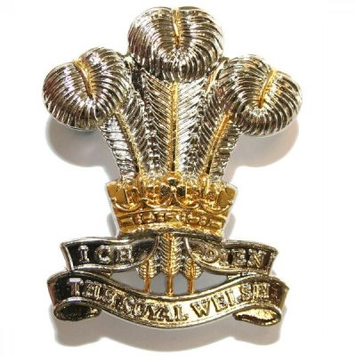 Prince of Wales Regiment Feathers Cap Badge
