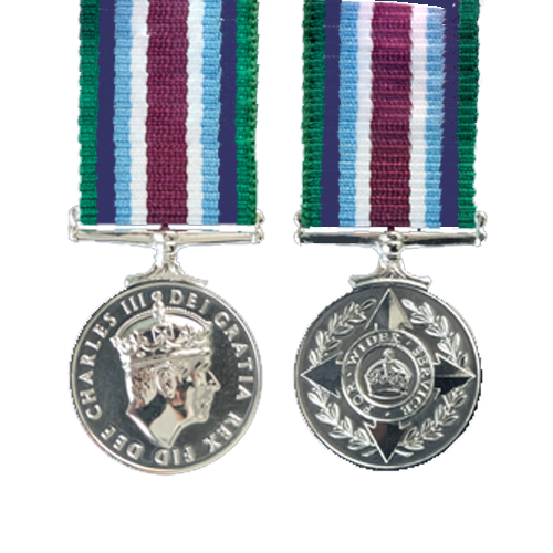 Wider Service Miniature Medal