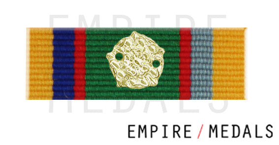 Cadet Forces Medal Ribbon Bar with Silver Rosette