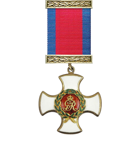 Distinguished Service Order George V and ribbon