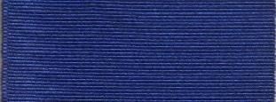 Plain Navy Blue Ribbon
