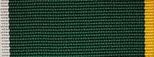 Royal Yeomanry Guidon Parade medal