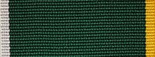 Royal Yeomanry Guidon Parade medal