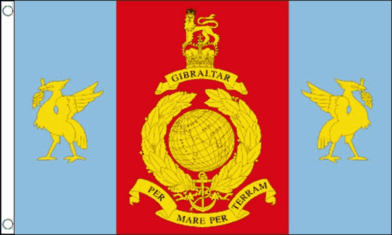 Royal Marines Reserve Merseyside Flag