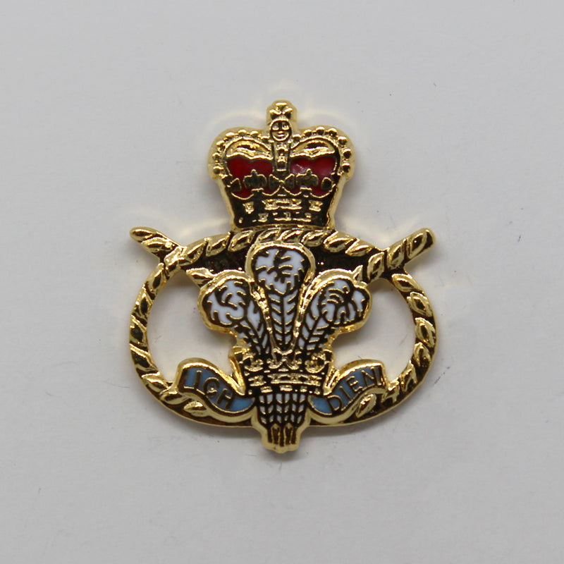 Staffordshire Regiment Lapel Badge