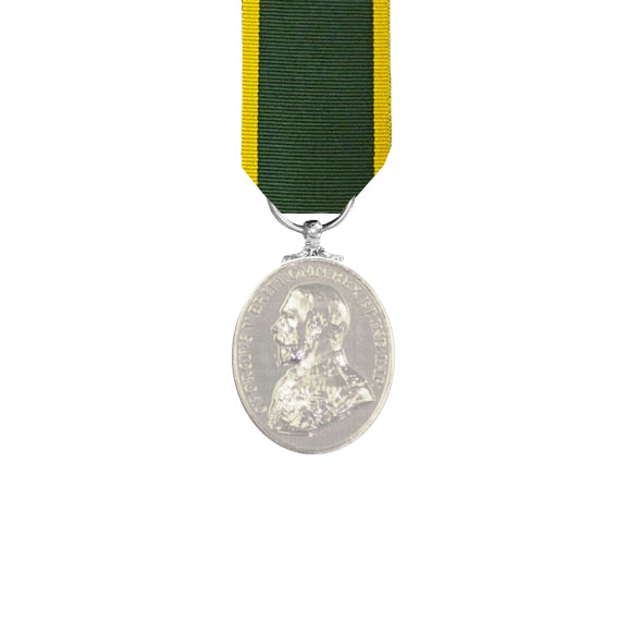 Territorial Efficiency GV Miniature Medal
