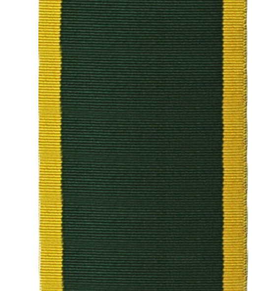 TA Efficiency Medal Ribbon