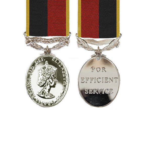 TA Efficiency Miniature Medal EIIR 1982 HAC