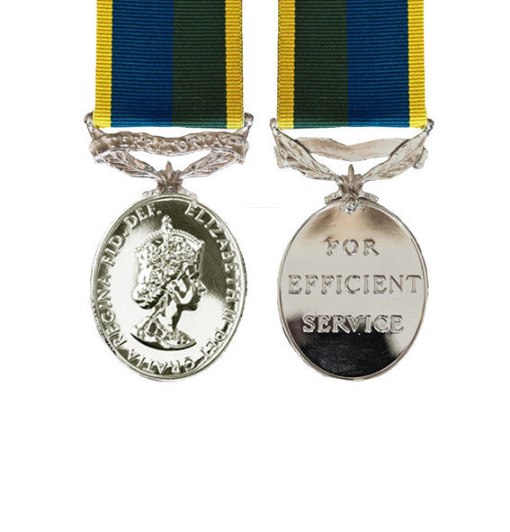 TA Efficiency Miniature Medal 1982